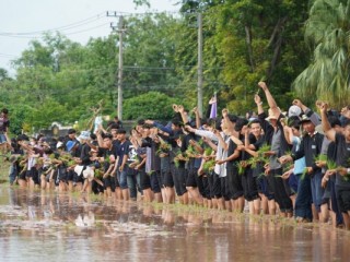 เข้าร่วมโครงการถ่ายทอดความรู้และสืบสานวิถีการทำนาข้าว(วิธีการปักดำ) และกิจกรรมต้อนรับนักศึกษาใหม่เชิงสร้างสรรค์